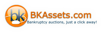 BK Assets Logo