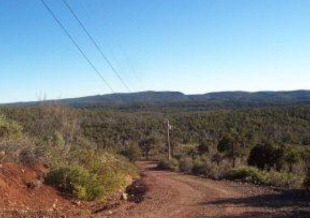 Sold Vacant Land in Payson, Gila County, Arizona! BK Assets